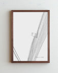 DENTO | FRAME SANO
