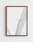 DENTO | FRAME TIPO
