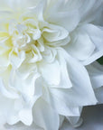 Colorer chrysanthemum Artificial Flora