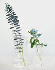 AXCIS,INC. | PINO Glass Vase