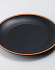 AXCIS,INC. | Pure Plate M