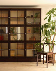 ANIMA CABINET