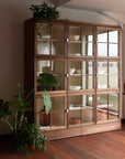 ANIMA CABINET