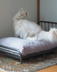 SENS BED FOR CAT ( PET SOFA )