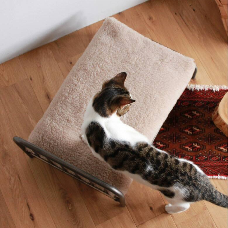 SENS BED FOR CAT ( PET SOFA )