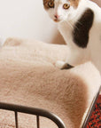 SENS BED FOR CAT ( PET SOFA )