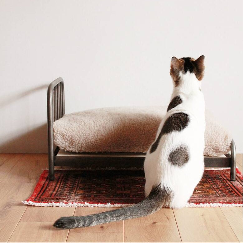 SENS BED FOR CAT ( PET SOFA )