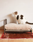 SENS BED FOR CAT ( PET SOFA )