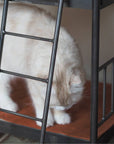 SENS BUNK BED FOR CAT ( PET SOFA )