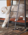 SENS BUNK BED FOR CAT ( PET SOFA )