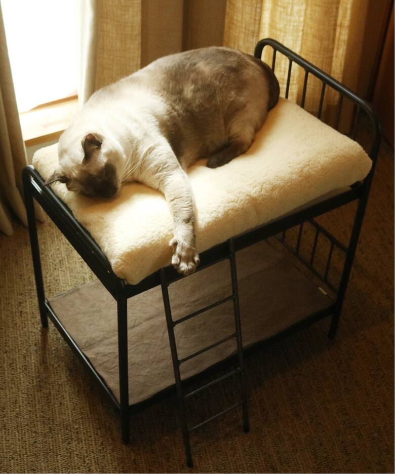 SENS BUNK BED FOR CAT ( PET SOFA )