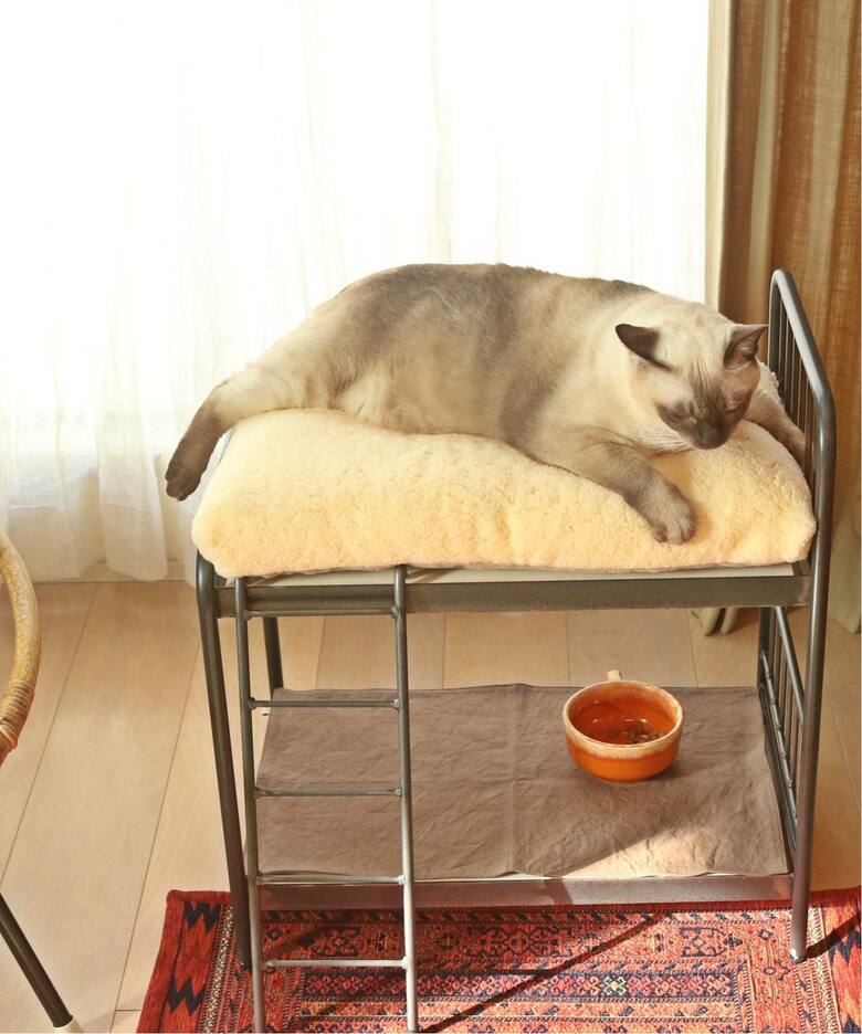 SENS BUNK BED FOR CAT ( PET SOFA )