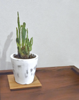 KIJIYA | coaster set of 5