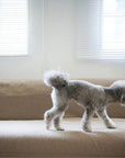 HABITAT EASY COVER / PET FOR HABITAT SOFA BED