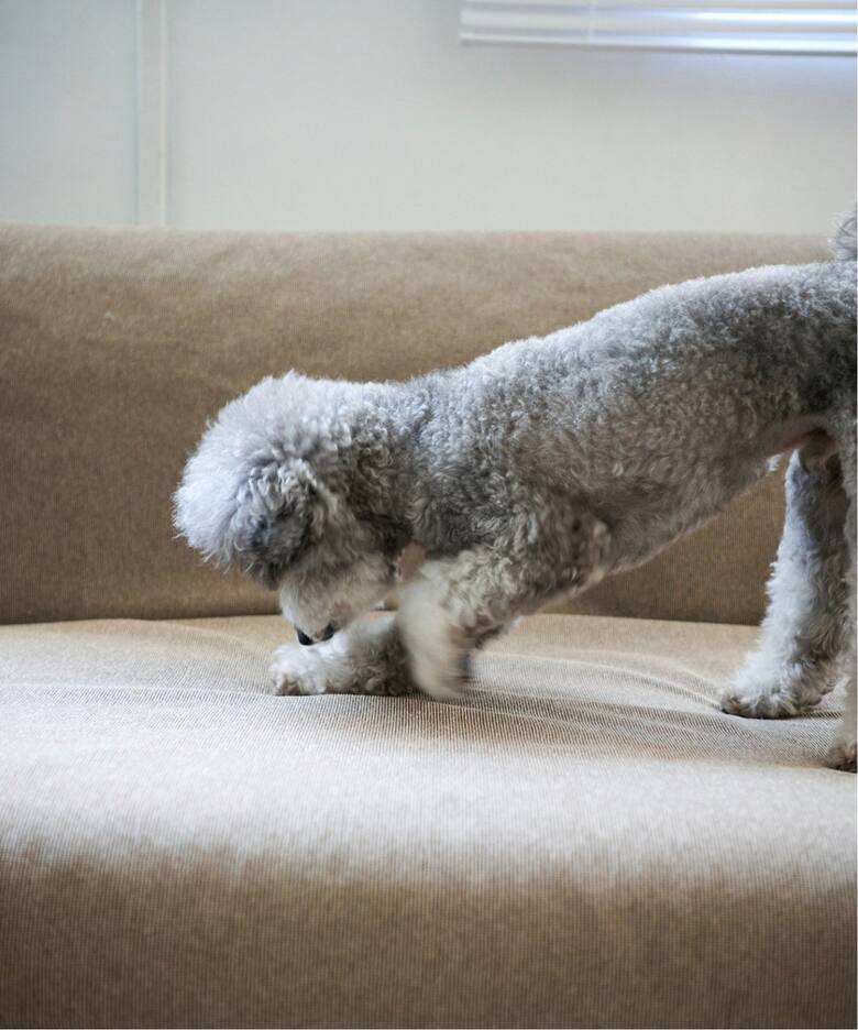 HABITAT EASY COVER / PET FOR HABITAT SOFA BED