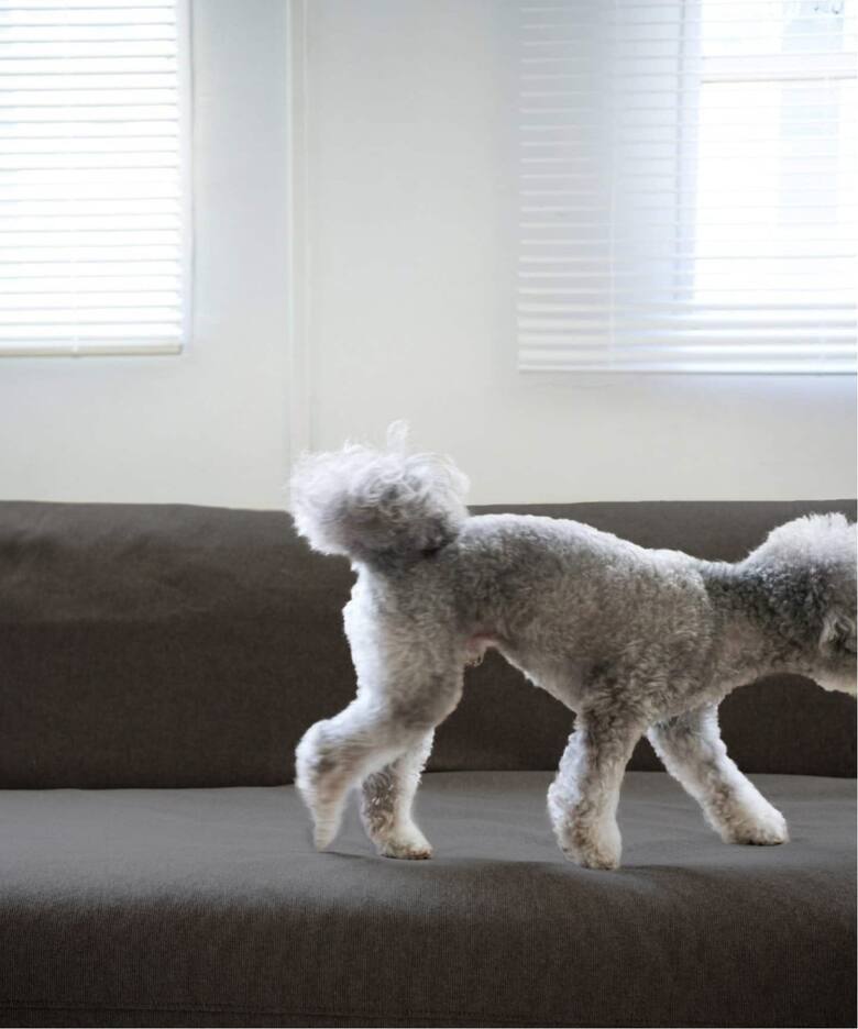 HABITAT EASY COVER / PET FOR HABITAT SOFA BED