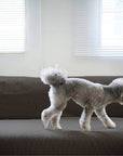 HABITAT EASY COVER / PET FOR HABITAT SOFA BED