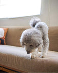 HABITAT EASY COVER / PET FOR HABITAT SOFA BED