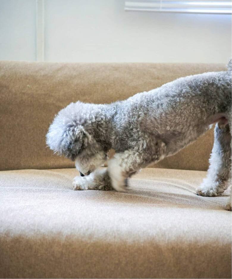 HABITAT EASY COVER / PET FOR HABITAT SOFA BED