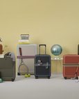 moln | Luggage Belt