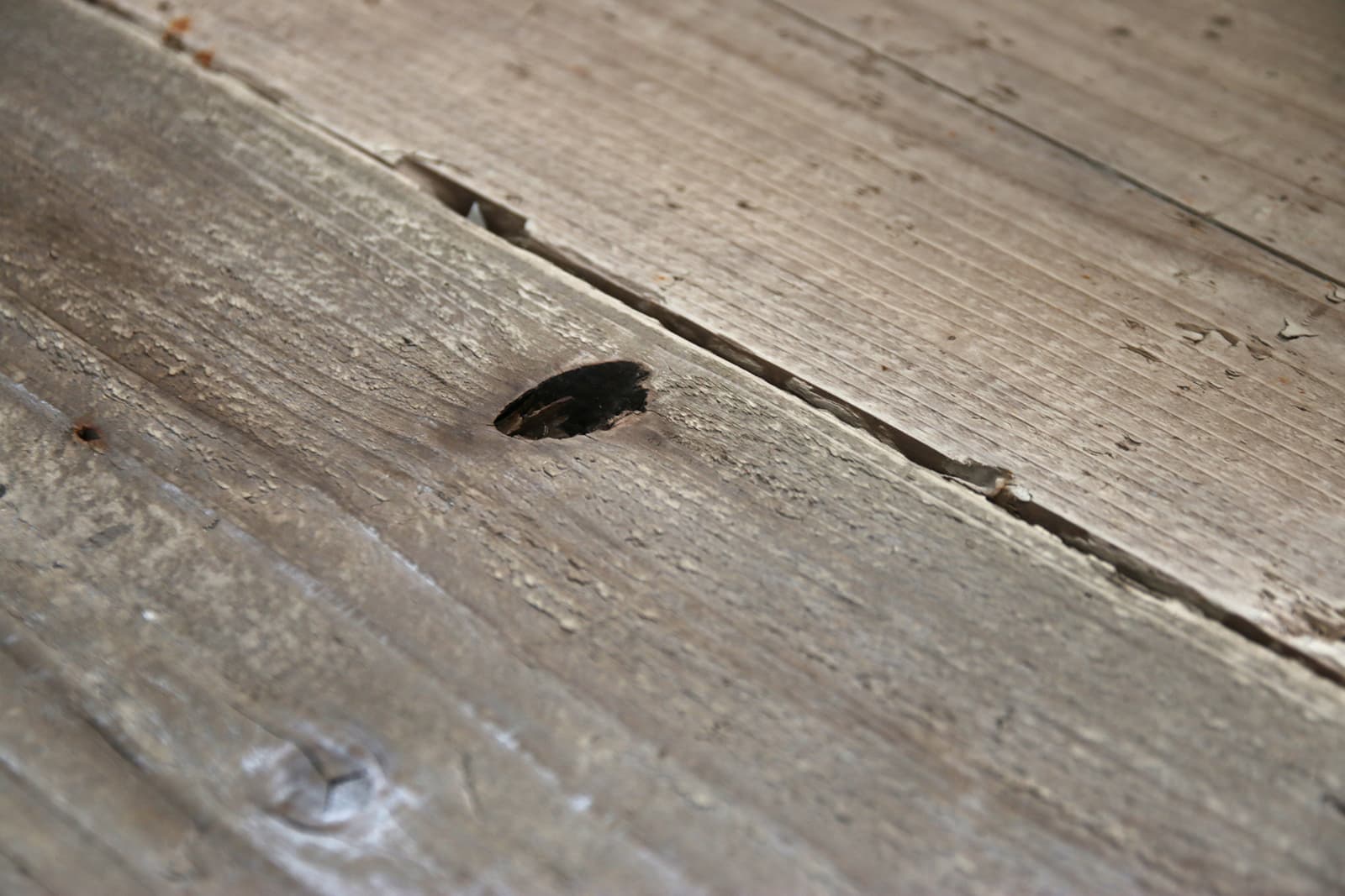 toolbox | Scaffolding Board - T35