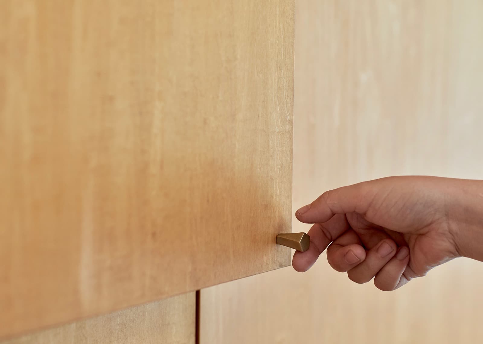 toolbox | Brass Hardware Knob - Snake Twisted