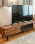 COMMON ROOTS | PICCHIO PSR1 TV BOARD