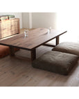 ZAGU SEATING CUSHION 056