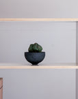 SHIRO SHELF (720)