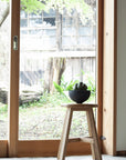 DINING ROOM CHAIR (OAK )