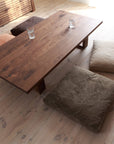 ZAGU SEATING CUSHION 056