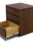 BASS SIDE DRAWERS