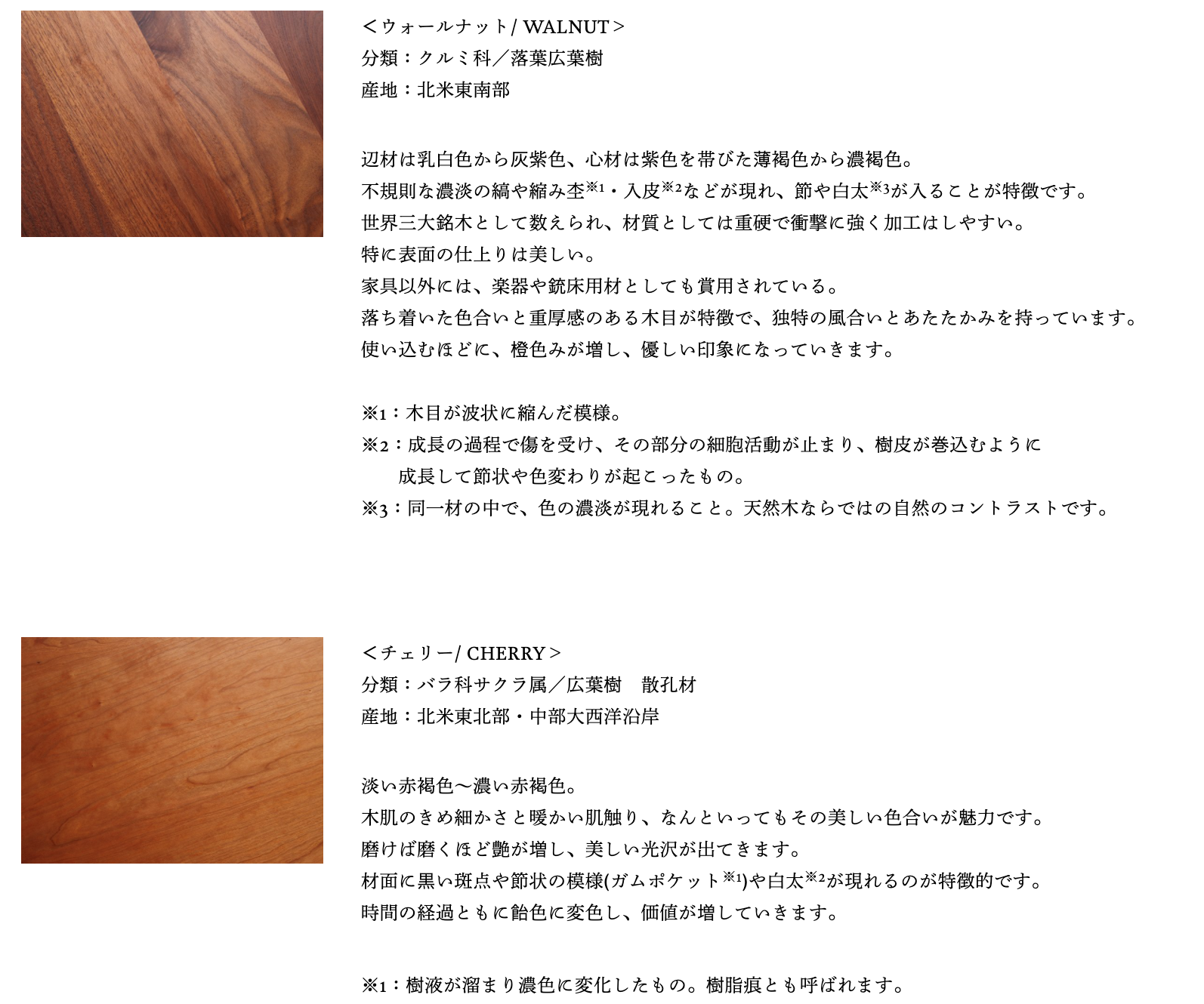 FREX SYSTEM DESK D490