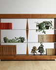 ANIMA SHELF ( 119 / 175 )