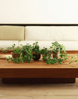 FX TABLE L