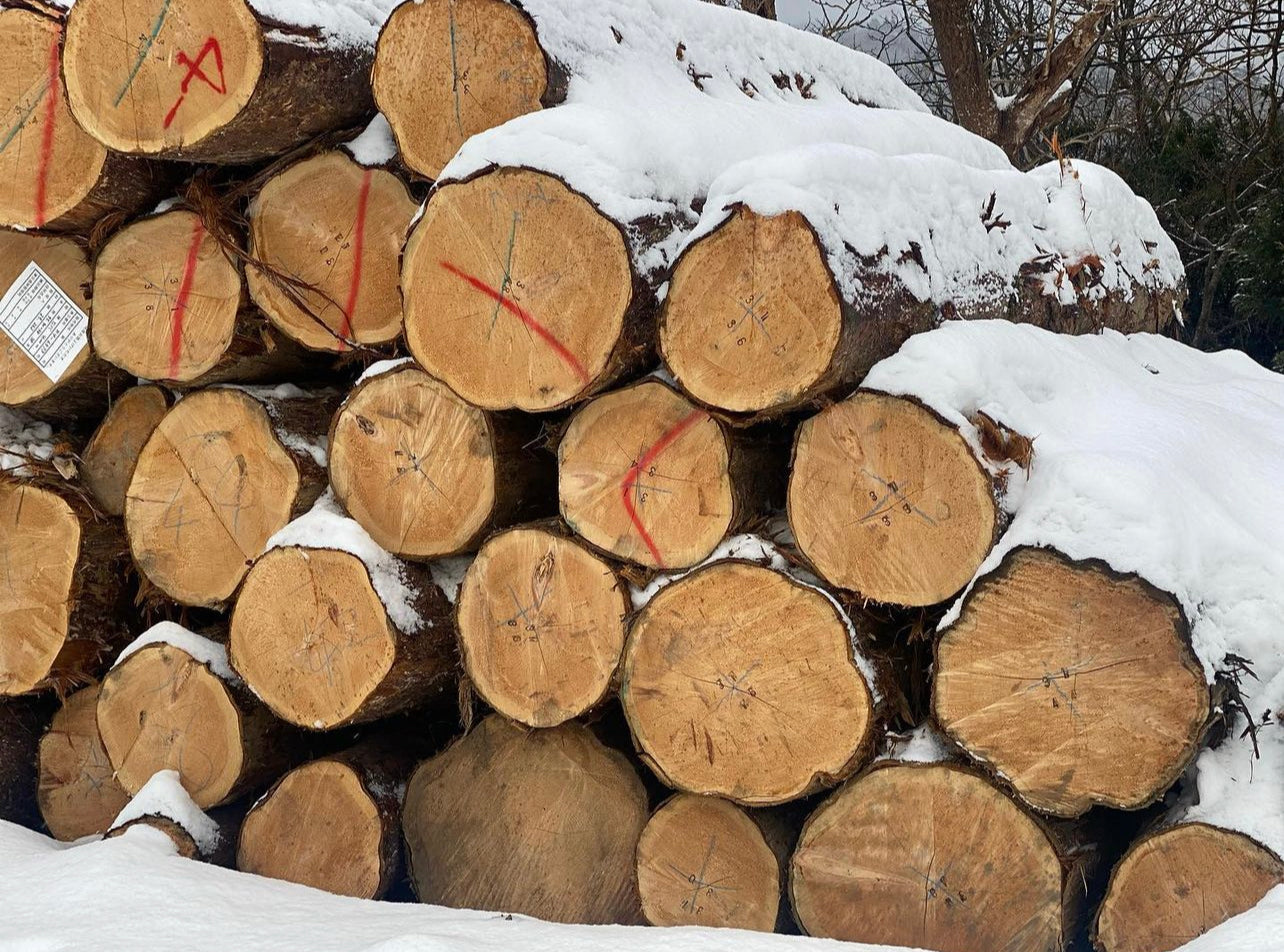 CUL DE SAC - HIBA WOOD (STOCK ITEM)