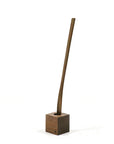 SHOE HORN