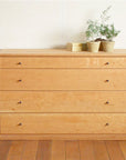 SHIRLEY COUNTER CHEST 4