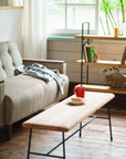 WN SOFA 2P
