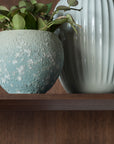 COMMON SHELF