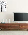 SLIT TV BOARD