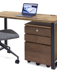 PICCHIO DESK PT1
