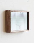 DENTO | FRAME TIPO