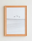 DENTO | FRAME VALLE