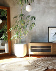 CADEAL TV Board 1200