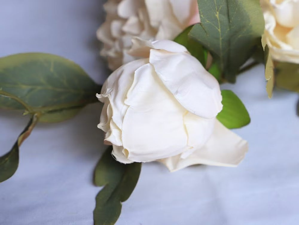Colorer Frill Rare Peony Artificial Flora
