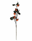 Colorer Physalis Artificial Flora