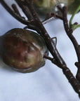 Colorer Physalis Artificial Flora