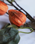 Colorer Physalis Artificial Flora