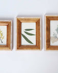 Comu-le Photo Frame